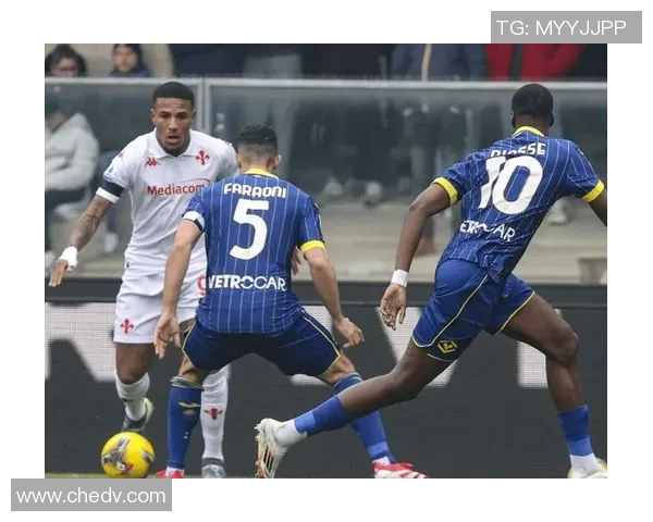 意甲奇迹时刻马竞逆转里昂补时绝杀引发全场狂欢 意甲奇迹时刻马竞逆转里昂补时绝杀引发全场狂欢