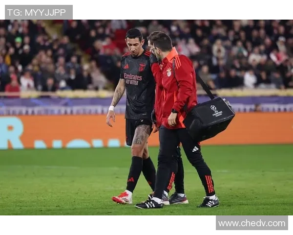 德甲惊天逆转本菲卡4-3力克利物浦十大进球回顾引爆全场热情